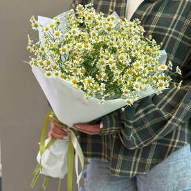 Ромашка кустовая 11 штук в букете