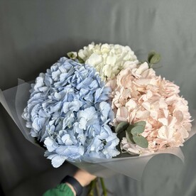 Букет из микс гортензий