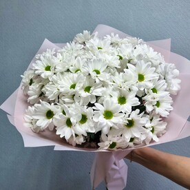 Пышный букет из 7 белых кустовых ромашковых хризантем
