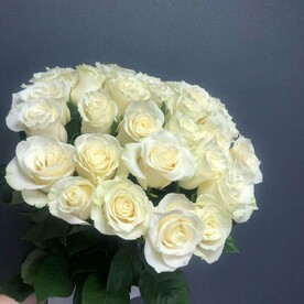 29 белых роз премиум-класса сорта Mondial (Эквадор) в ленту.