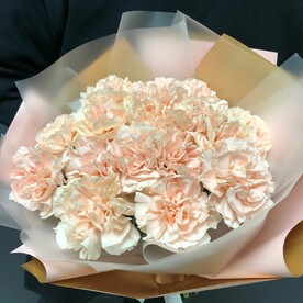 Букет из 15 кремовых диантусов в нежной упаковке