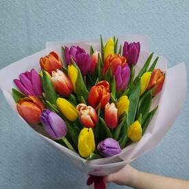 Букет 25 тюльпанов в упаковке