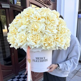 Пионовидные французские розы в шляпной коробке 51 шт, премиум букет