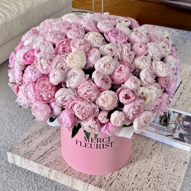 101 пион Сара Бернар в большой коробке, премиум композиция