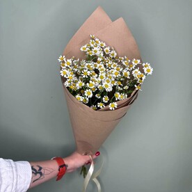 Букет ромашек