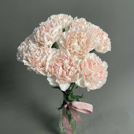 Букет из нежных гвоздик