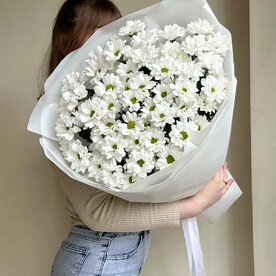 Букет ромашковых хризантем