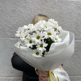 Ромашка в белом