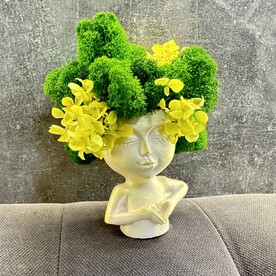 Зеленая Композиция из стабилизированного мха