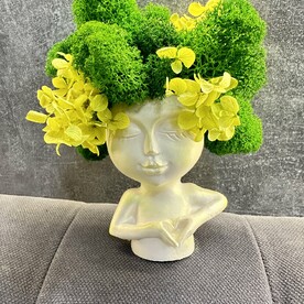 Композиция из стабилизированного мха 1