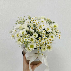 Коробочка из микса ромашек