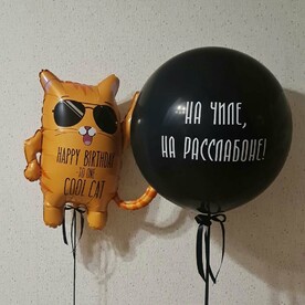 Композиция из большого воздушного гелиевого шара с индивидуальной надписью и фигурой котом