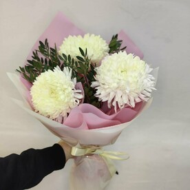 Хризантема Магнум и фисташка