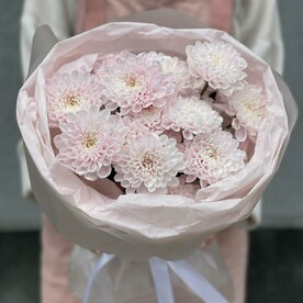 Нежная хризантема 3