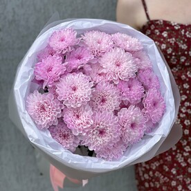 Букет из 5 ярких хризантем