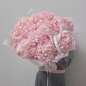 Нежный букет из 11 розовых гортензий (243)