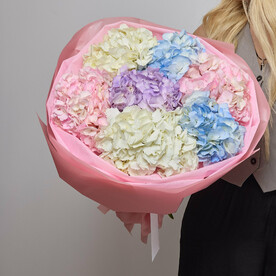 Неповторимый букет из 7 разноцветных гортензий (014)