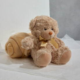 Мягкая игрушка с пледом «Мишутка»