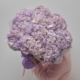 Нежный букет из 11 фиолетовых гортензий (013)