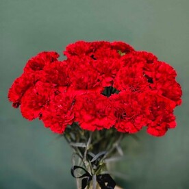 Букет из гвоздики