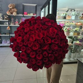 Красные розы эксплорер