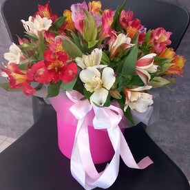 Альстромерия в коробке