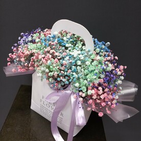 Гипсофила в сумочке