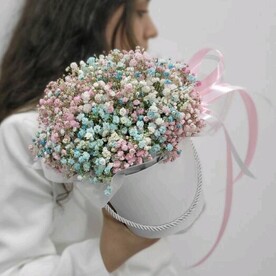 Облако гипсофилы