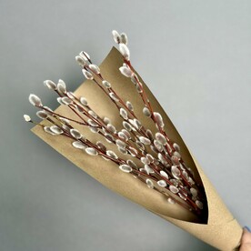 Ветки вербы в крафте 15шт