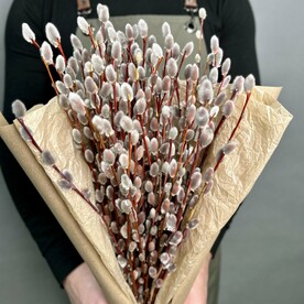 Ветки вербы 55шт