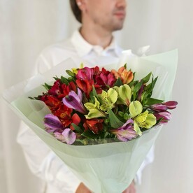 Цветная альстромерия 9 шт