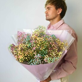 Цветная гипсофила 11 шт