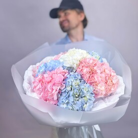 Гортензия микс 9 шт