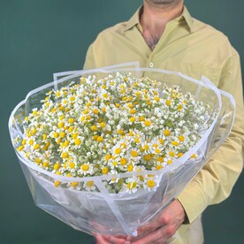 Букет из Ромашек 15 шт и белой Гипсофилы 9 шт