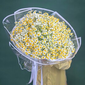 Большой букет из Ромашек 25 шт и белой Гипсофилы 12 шт