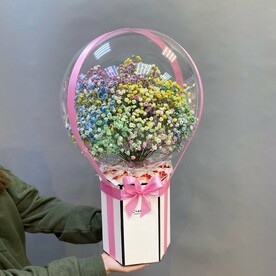 Разноцветные живые гипсофилы в шаре