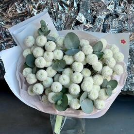 Моно букет из хризантем ньютон