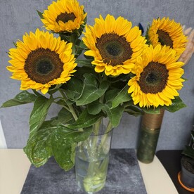 Композиция из пяти подсолнухов