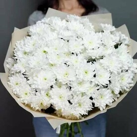 15 белых хризантем