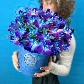 Цветы в коробке «Космос». Монобукет 631