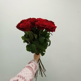 Розы 15штук 60см