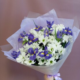 Белоснежные хризантемы ромашки с ирисами