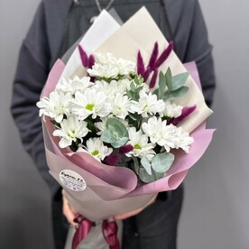 Хризантема ромашкова