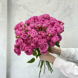 Кустовые пионовидные розы «Мисти баблс»