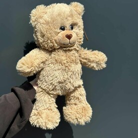 Медведь Теодор