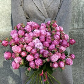 Кустовые розы пионовидные Lady Bombastic