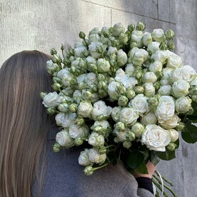 Кустовые розы пионовидные Miss Bombastic