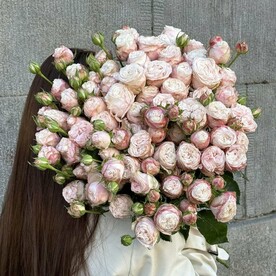 Кустовые розы пионовидные Bombastic