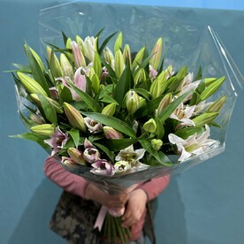 Лилия розовая