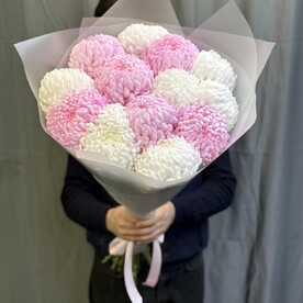 Хризантема одноголовая микс